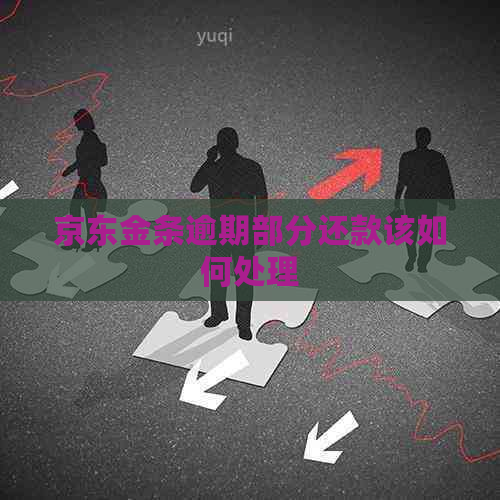 京东金条逾期部分还款该如何处理