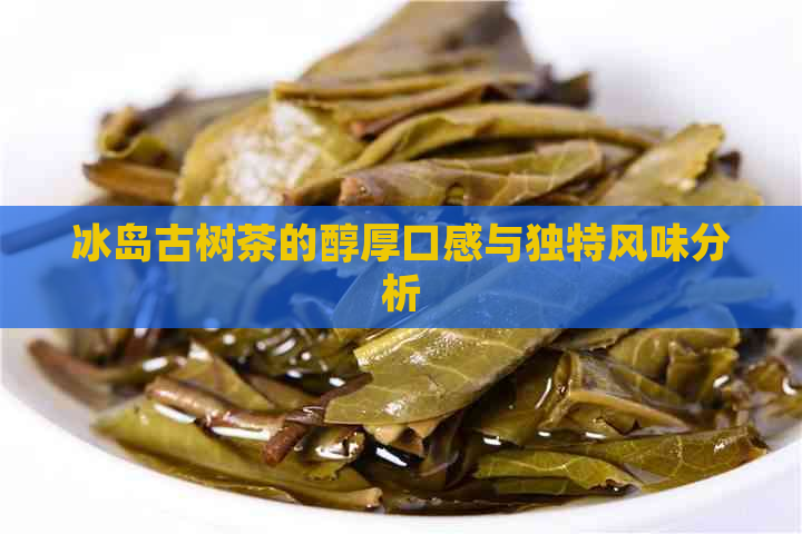 冰岛古树茶的醇厚口感与独特风味分析