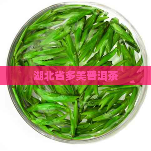 湖北省多美普洱茶