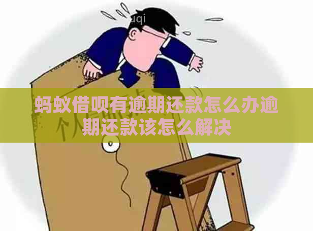 蚂蚁借呗有逾期还款怎么办逾期还款该怎么解决