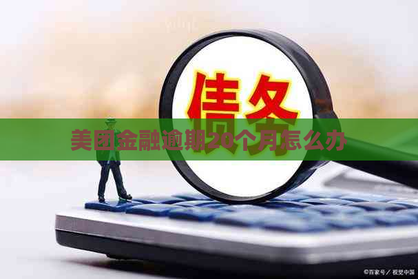 美团金融逾期20个月怎么办