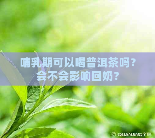 哺乳期可以喝普洱茶吗？会不会影响回奶？