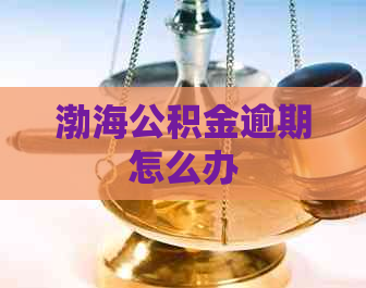 渤海公积金逾期怎么办