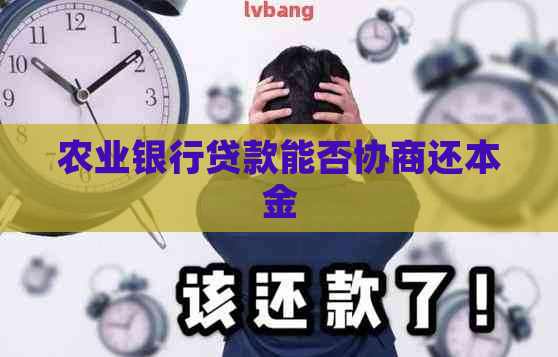 农业银行贷款能否协商还本金