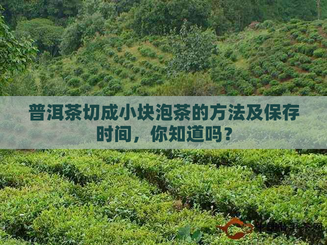 普洱茶切成小块泡茶的方法及保存时间，你知道吗？