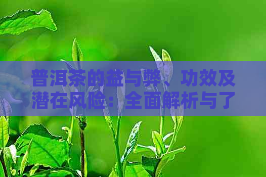 普洱茶的益与弊、功效及潜在风险：全面解析与了解