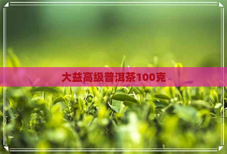 大益高级普洱茶100克