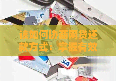 该如何协商网贷还款方式：掌握有效策略与技巧