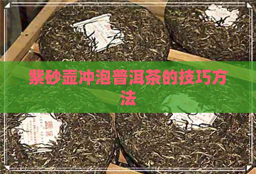 紫砂壶冲泡普洱茶的技巧方法