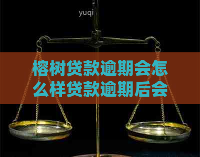 榕树贷款逾期会怎么样贷款逾期后会有哪些后果