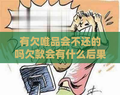 有欠唯品会不还的吗欠款会有什么后果