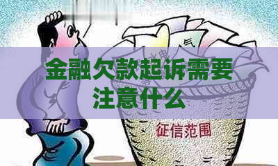 金融欠款起诉需要注意什么