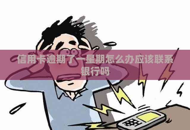 信用卡逾期了一星期怎么办应该联系银行吗