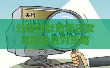 分期付款逾期还款风险及应对策略