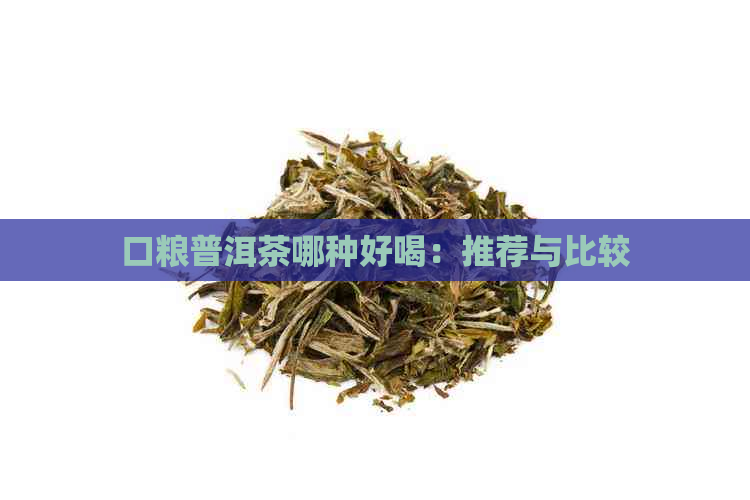 口粮普洱茶哪种好喝：推荐与比较