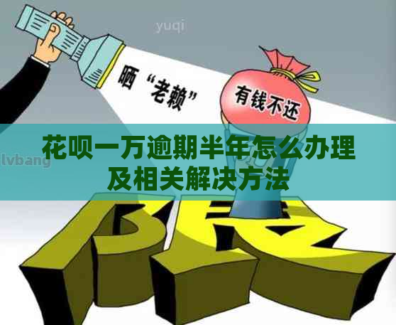 花呗一万逾期半年怎么办理及相关解决方法