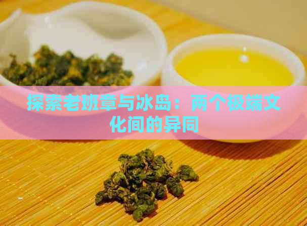 探索老班章与冰岛：两个极端文化间的异同