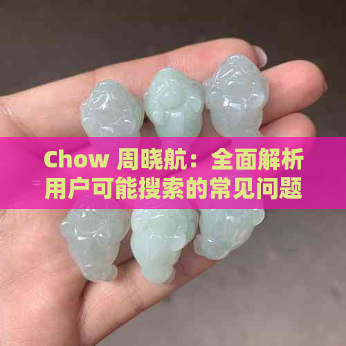 Chow 周晓航：全面解析用户可能搜索的常见问题及其解决方案