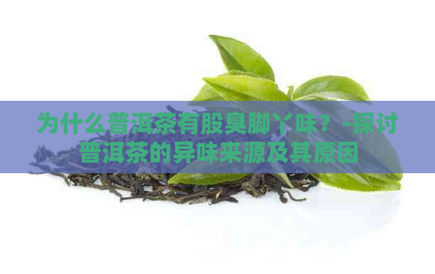 为什么普洱茶有股臭脚丫味？-探讨普洱茶的异味来源及其原因