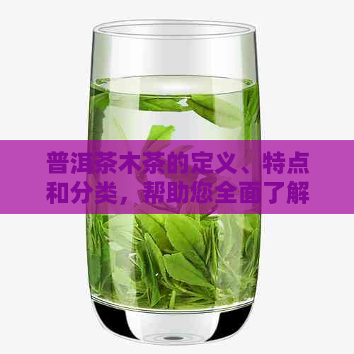 普洱茶木茶的定义、特点和分类，帮助您全面了解普洱茶的种类