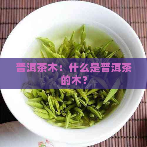 普洱茶木：什么是普洱茶的木？