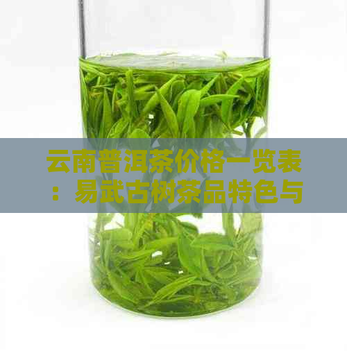 云南普洱茶价格一览表：易武古树茶品特色与行情解析