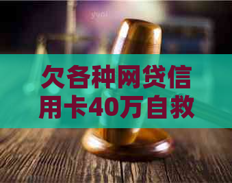 欠各种网贷信用卡40万自救