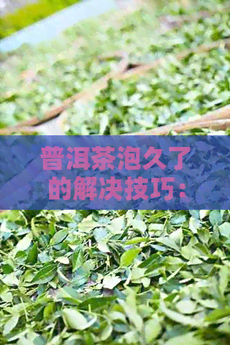 普洱茶泡久了的解决技巧：如何让普洱茶更耐泡？