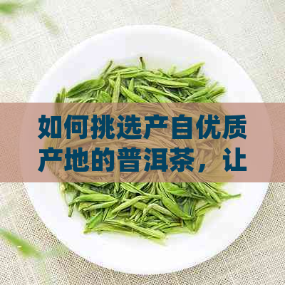 如何挑选产自优质产地的普洱茶，让你品尝到更美味的普洱茶？