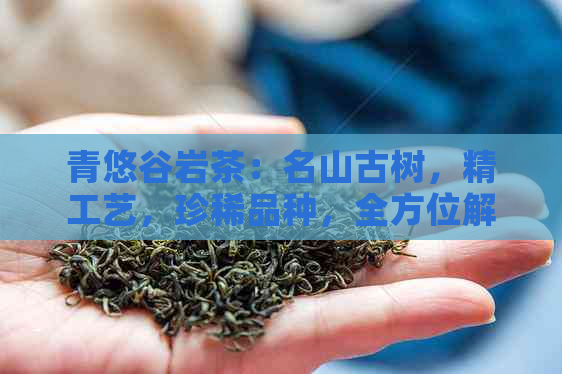 青悠谷岩茶：名山古树，精工艺，珍稀品种，全方位解析价格因素