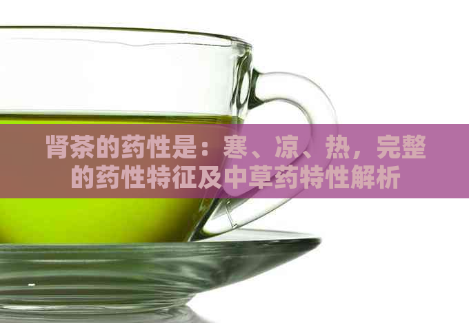 肾茶的药性是：寒、凉、热，完整的药性特征及中草药特性解析