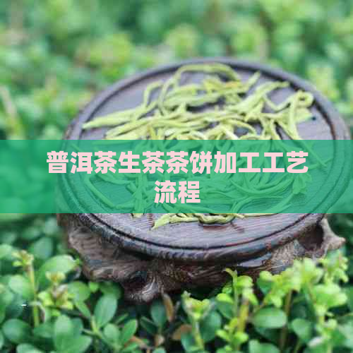 普洱茶生茶茶饼加工工艺流程