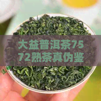 大益普洱茶7572熟茶真伪鉴别及价格对比：2023年与2009年的差异