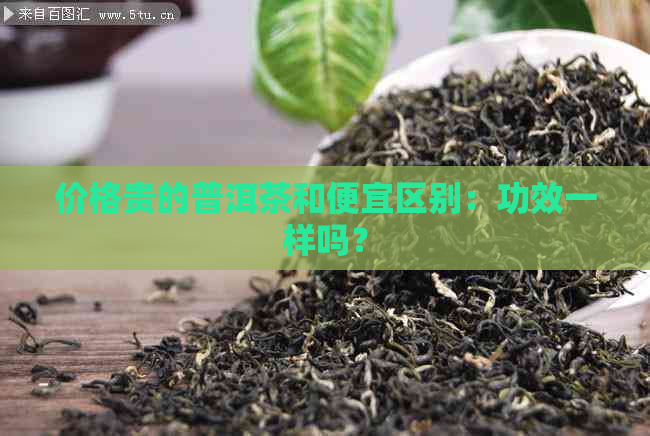 价格贵的普洱茶和便宜区别：功效一样吗？