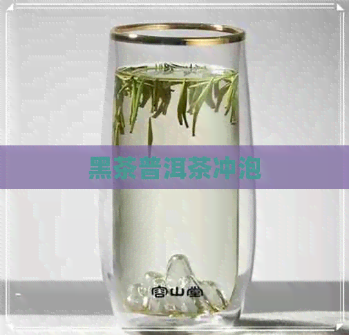 黑茶普洱茶冲泡