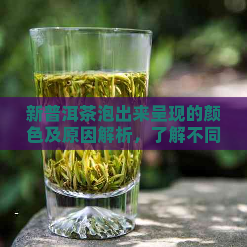 新普洱茶泡出来呈现的颜色及原因解析，了解不同阶的变化与品质关系