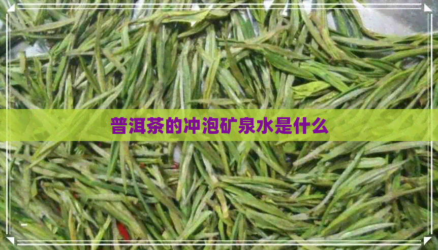 普洱茶的冲泡矿泉水是什么