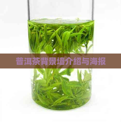 普洱茶背景墙介绍与海报