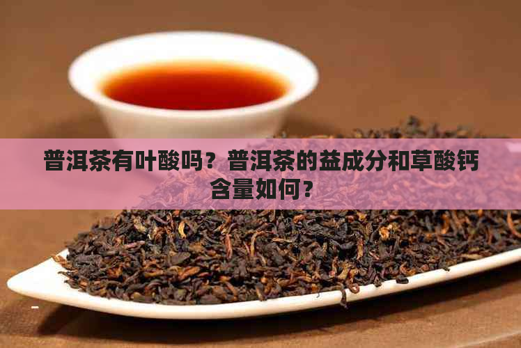 普洱茶有叶酸吗？普洱茶的益成分和草酸钙含量如何？