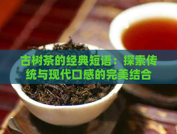 古树茶的经典短语：探索传统与现代口感的完美结合