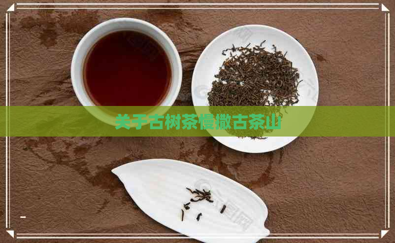 关于古树茶慢撒古茶山