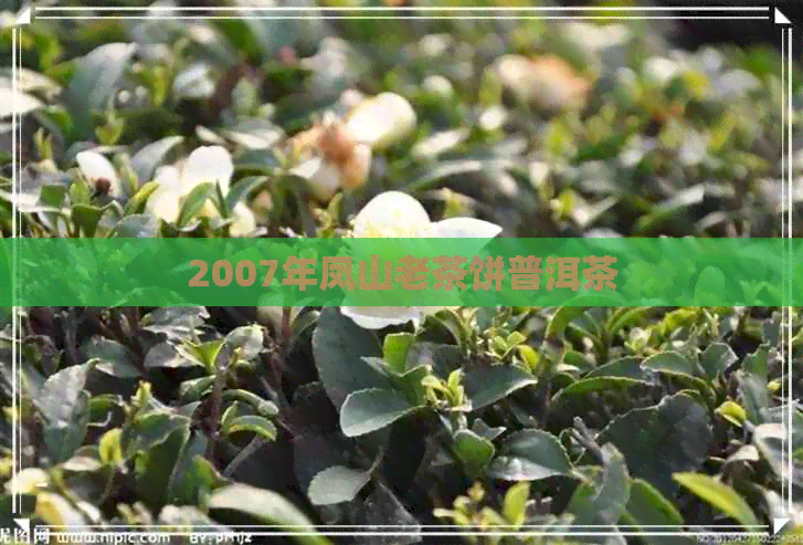 2007年凤山老茶饼普洱茶