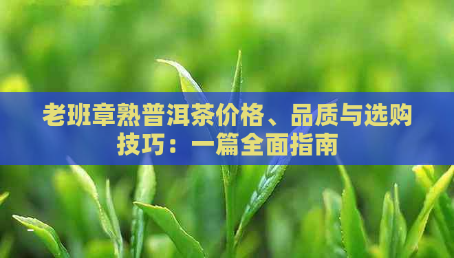 老班章熟普洱茶价格、品质与选购技巧：一篇全面指南