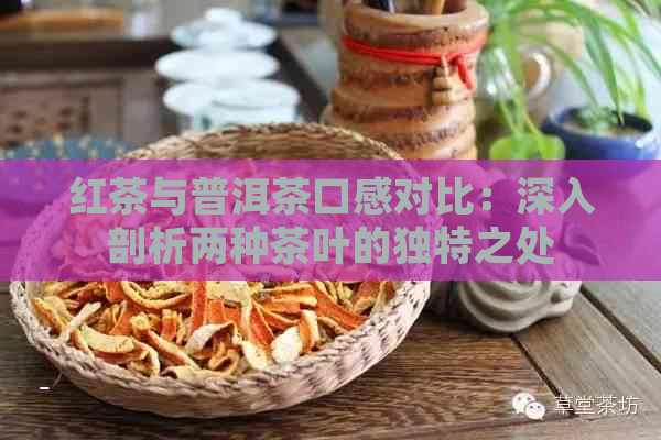 红茶与普洱茶口感对比：深入剖析两种茶叶的独特之处