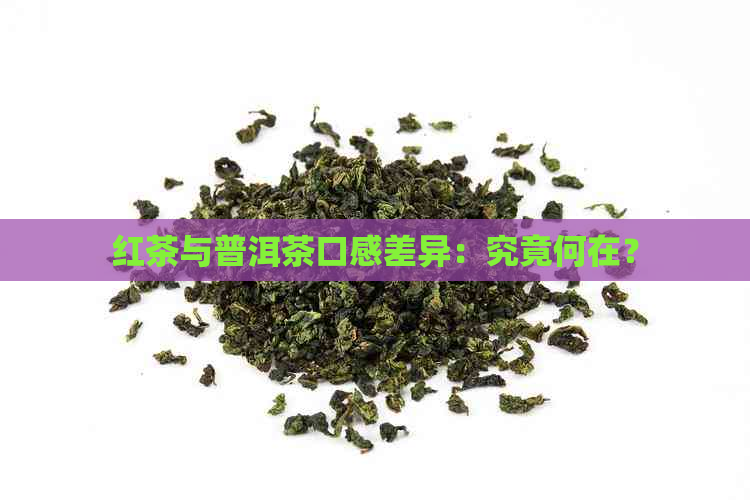 红茶与普洱茶口感差异：究竟何在？