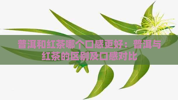 普洱和红茶哪个口感更好：普洱与红茶的区别及口感对比