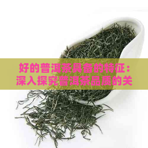 好的普洱茶具备的特征：深入探究普洱茶品质的关键因素  第1张