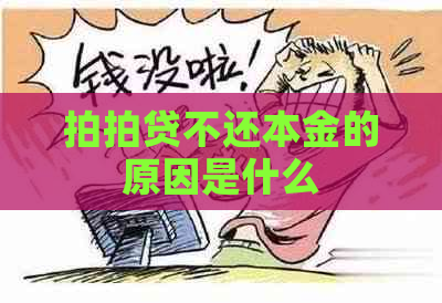 不还本金的原因是什么