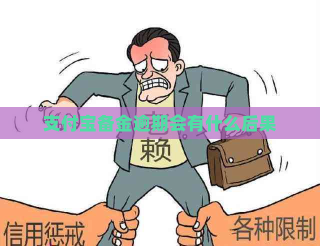 支付宝备金逾期会有什么后果