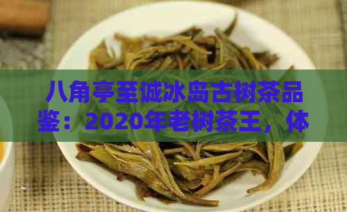 八角亭至诚冰岛古树茶品鉴：2020年老树茶王，体验经典茶香。